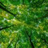jafep-middle-east-ecological-paints